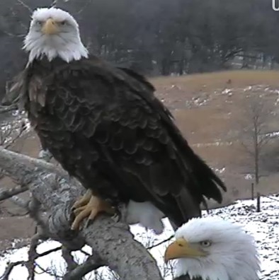 ScreenHunter_51 Feb. 21 11.26.jpg